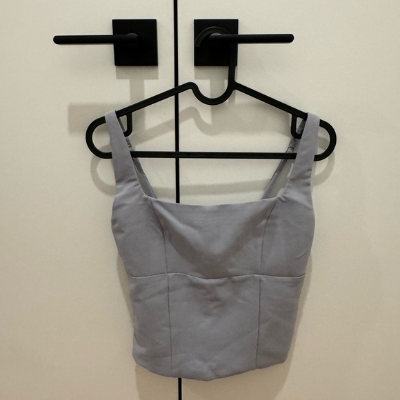 Abercrombie & Fitch Tops - Abercrombie & Fitch Silver Fitted Bustier Tank Top